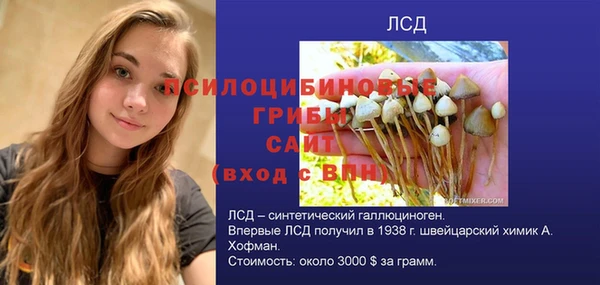 кокс Алзамай